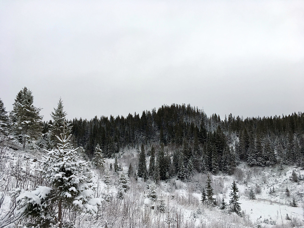 Vålåstoppen.