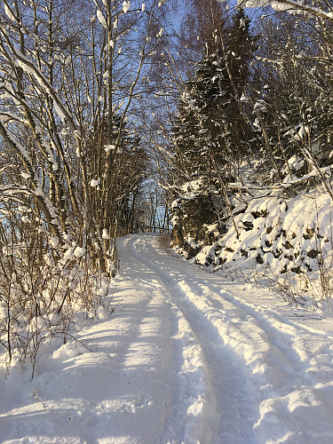 Godt brukt tursti fra starten av.