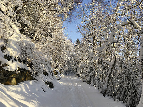 Hadde vært greit med ski her.