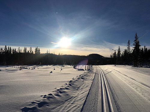 På vei rundt lysløypa først.Langåskammen rett fram.