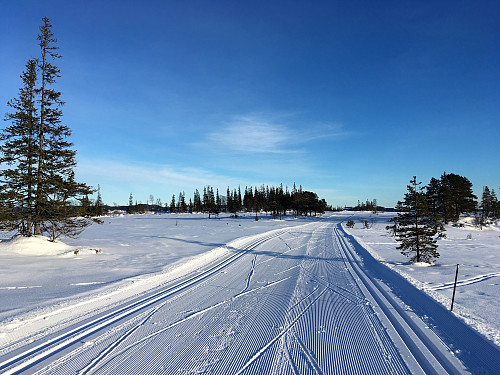 Fint på Reidalsmyran i dag.