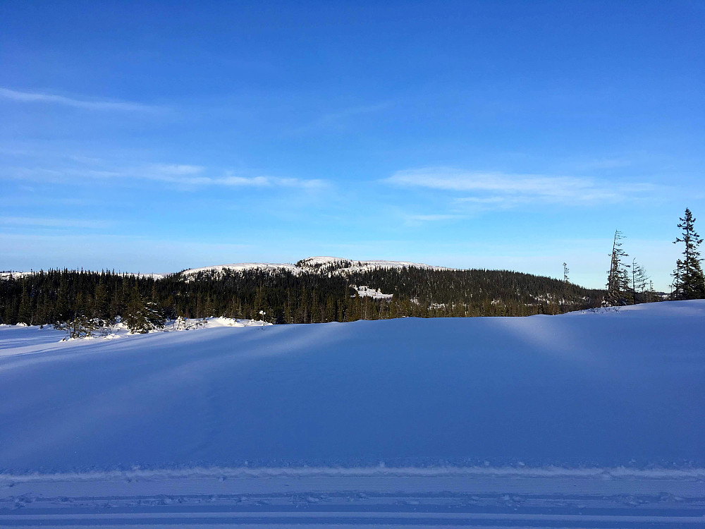 Svalbakheia bader i vintersola i dag.