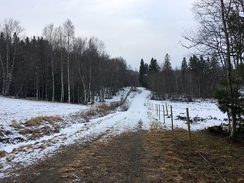 Eneste område uten snø.Her ved Almåsen.