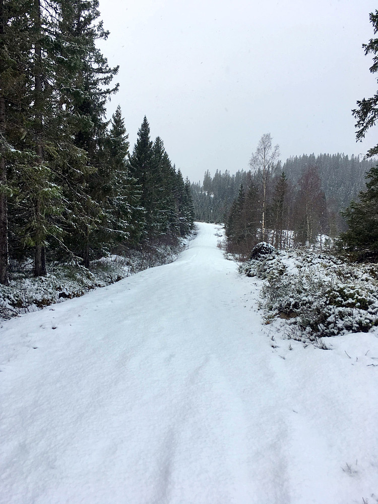 Mye snø på skogsveien.