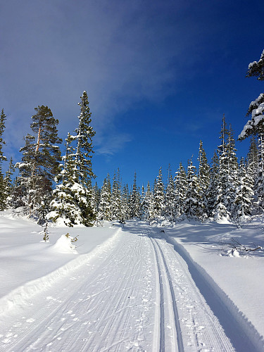 Fantastisk flotte forhold for skigåing!