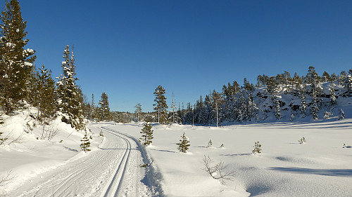 Bildet taler for seg.Her på Innerskogen.