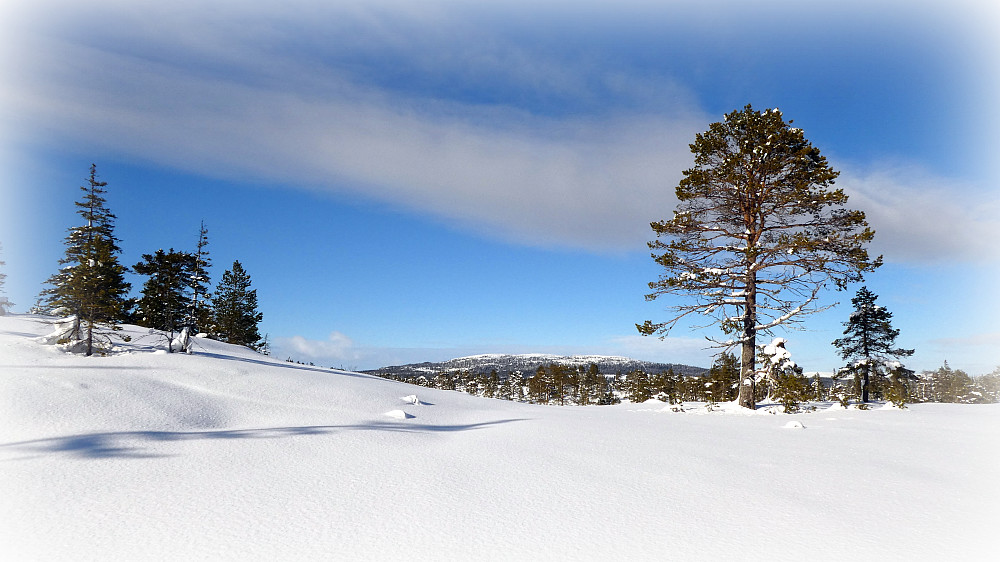 Hårfjellet langt i det fjerne.