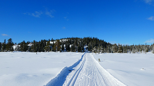 Mot Årliklumpen på Innerskogen.