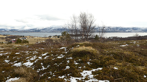 Olberget Panorama.Det gror godt her.