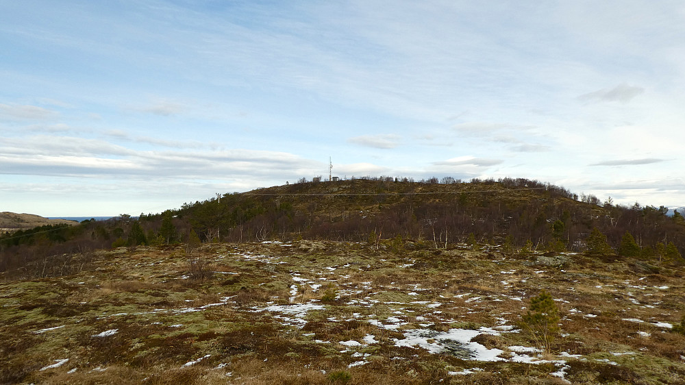 Ser her toppen av Olberget.