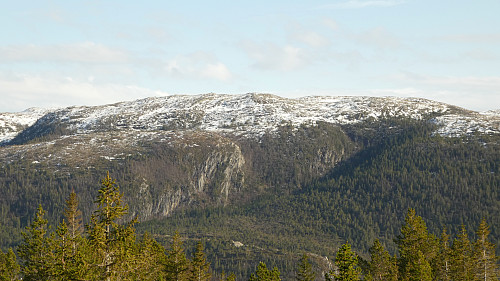 Litt utsikt før du kommer til toppunktet.Ser mot Leirfalliheia 362 moh. på andre siden av Sørfjorden.