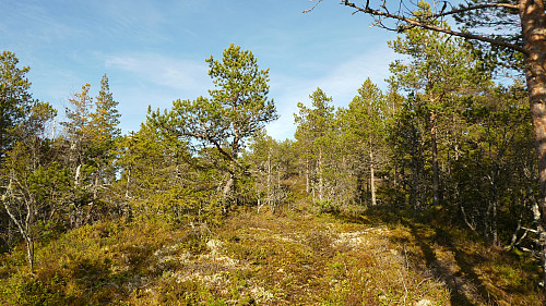 Lett terreng det siste stykket mot toppen.