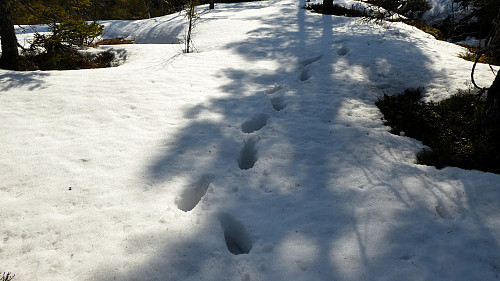 Mye våt snø på andre sida av brua.