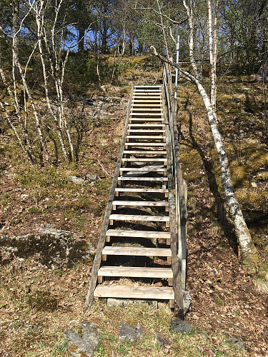 På vei ned fra Nebbheia er det satt opp ei solid trapp i tre.