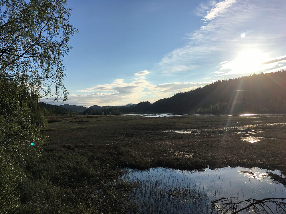 Lite vann i Elvtjønna.