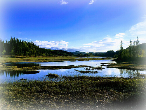 Elvtjønna.