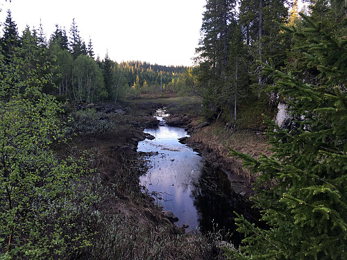 Ved Ålvassbrua mot Elvvatnet.