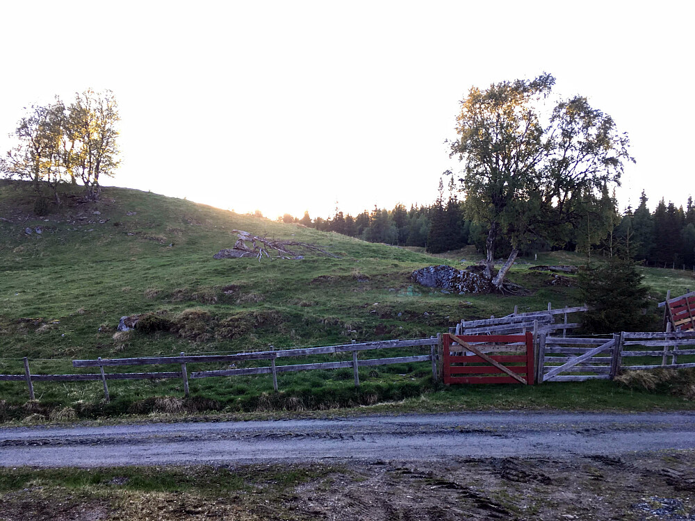 Det er vel ikke lenge for dyrene er på beite her.