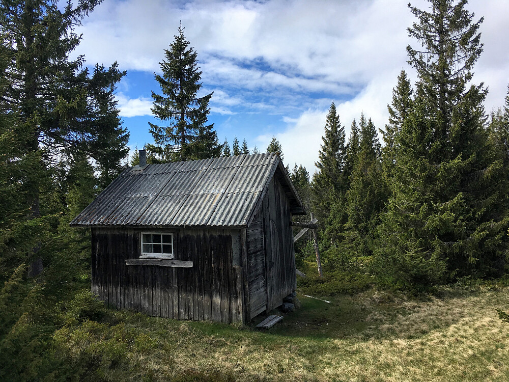 Kjellenbergskoia.