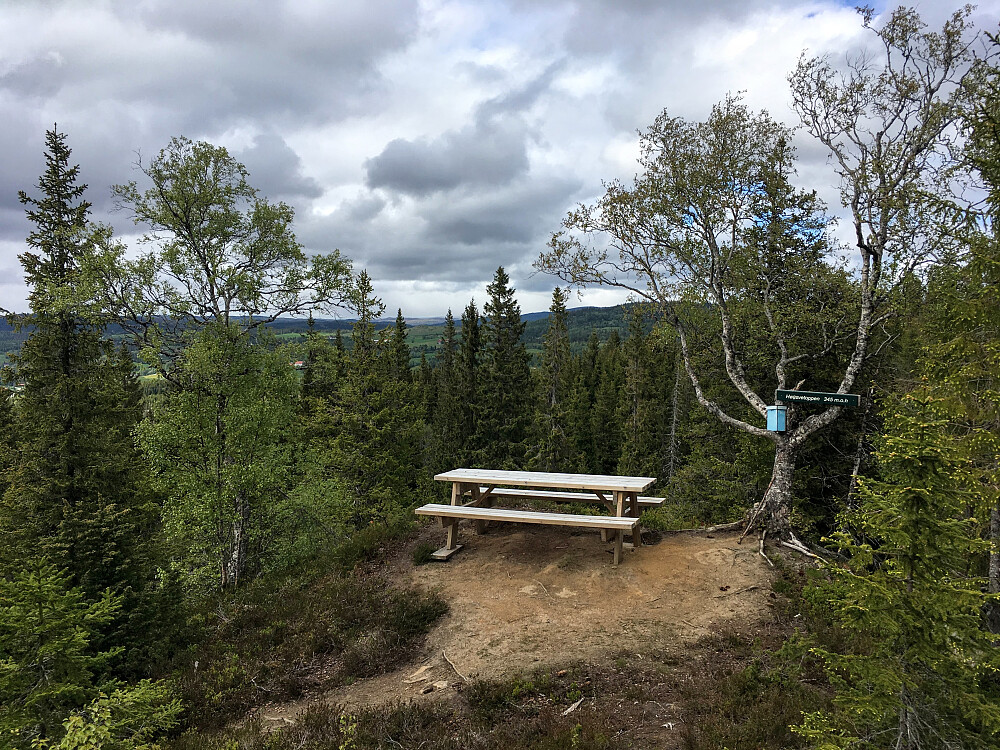Høgsvetoppen 345 moh.