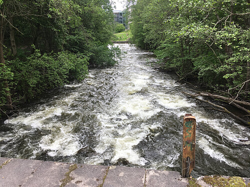Stor vannføring i dag.Her ned mot Nydalsdammen.