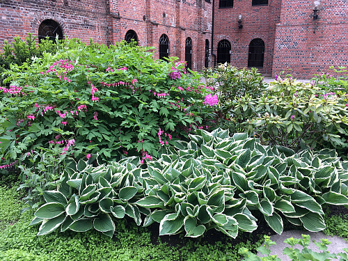 Flott beplantning rundt omkring......