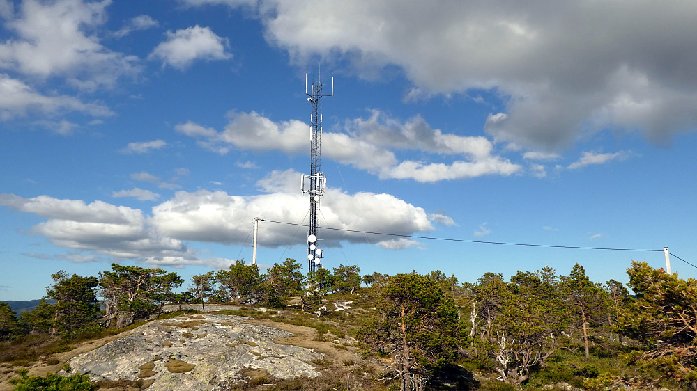 Masta på Raudfjellet.