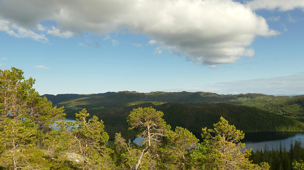 Mot Rotaheia sett fra toppen på Raudfjellet.