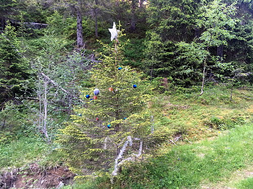 Julepynten ble ikke tatt av i år heller.