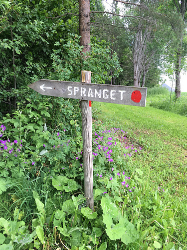 Fin merking ved start av turen.Nå følger en del bilder fra dagens tur.........