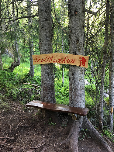 Flere hvilebenker på tur opp.