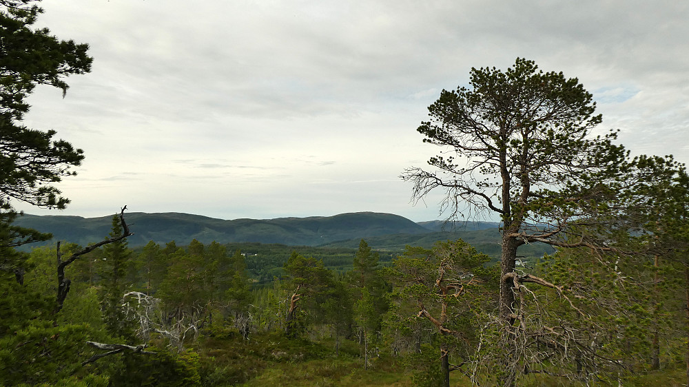 Ser Naglen på andre sida av Skaudalen.