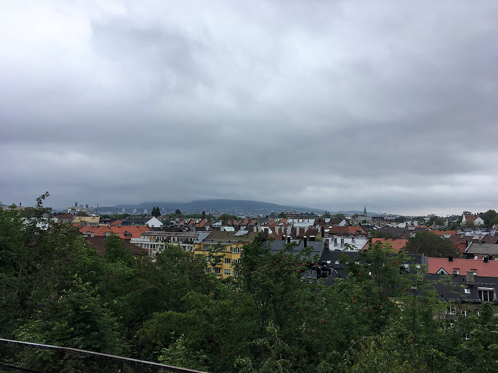 Utsikt mot Grefsenkollen fra Blåsen-Stensparken.