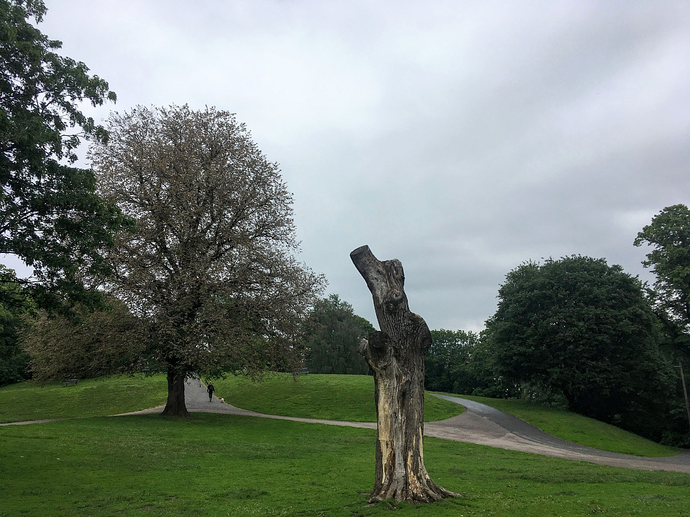 Korpehaugen i Stensparken.