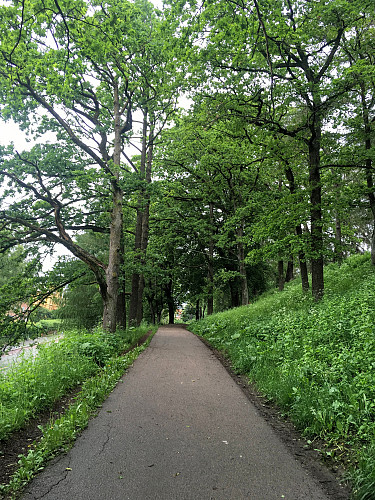 På tur opp til St.Hanshaugen.Ikke mange å treffe på her i dag.