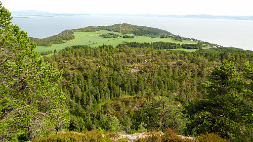 Skal dit ned no.Hestvollhaugen.