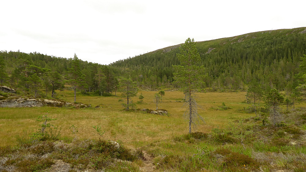 På andre sia av myra ligger Trånåheisetran.