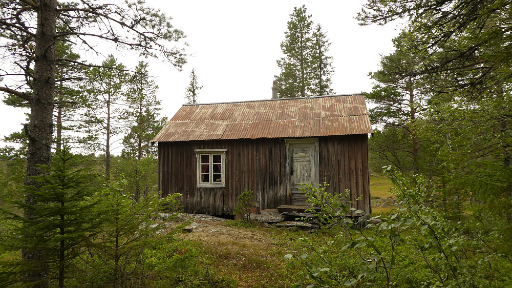 Trånåheisetran.