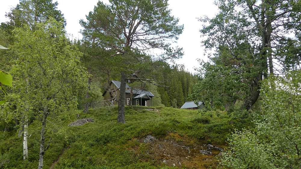 Idyllisk ved Olderviksetran.
