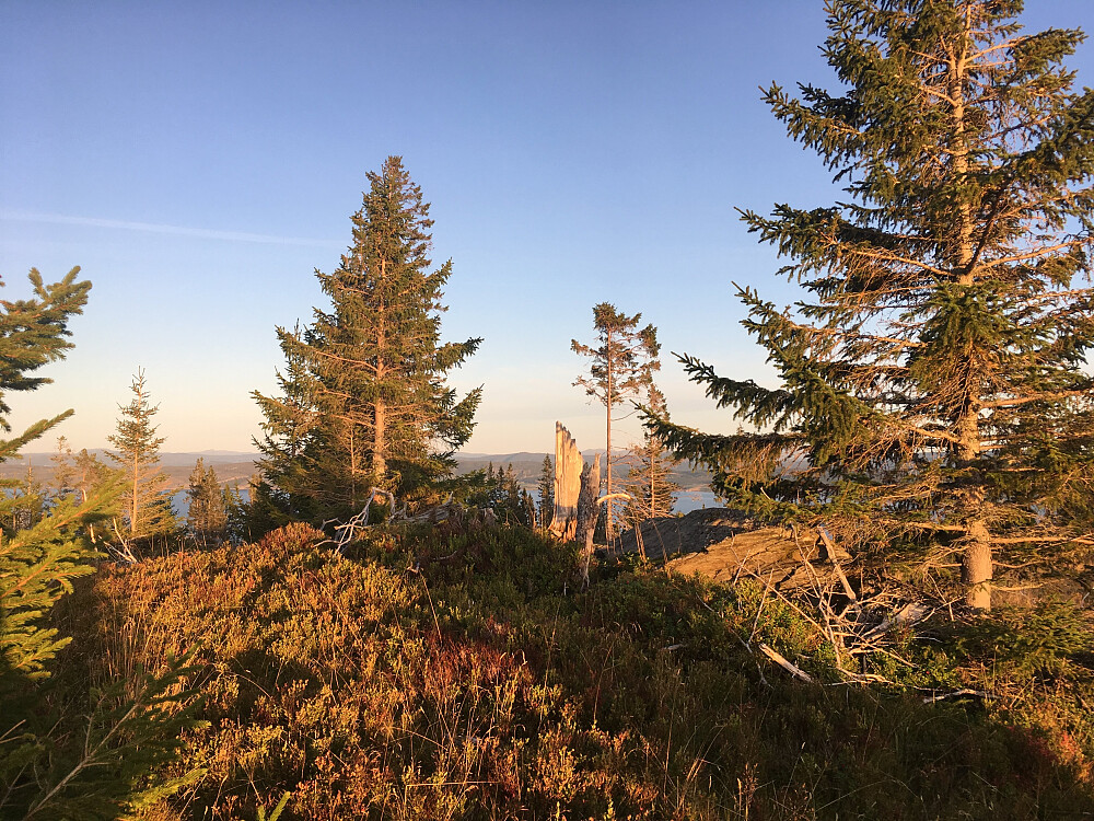Bremeraunåsen i kveldsol.