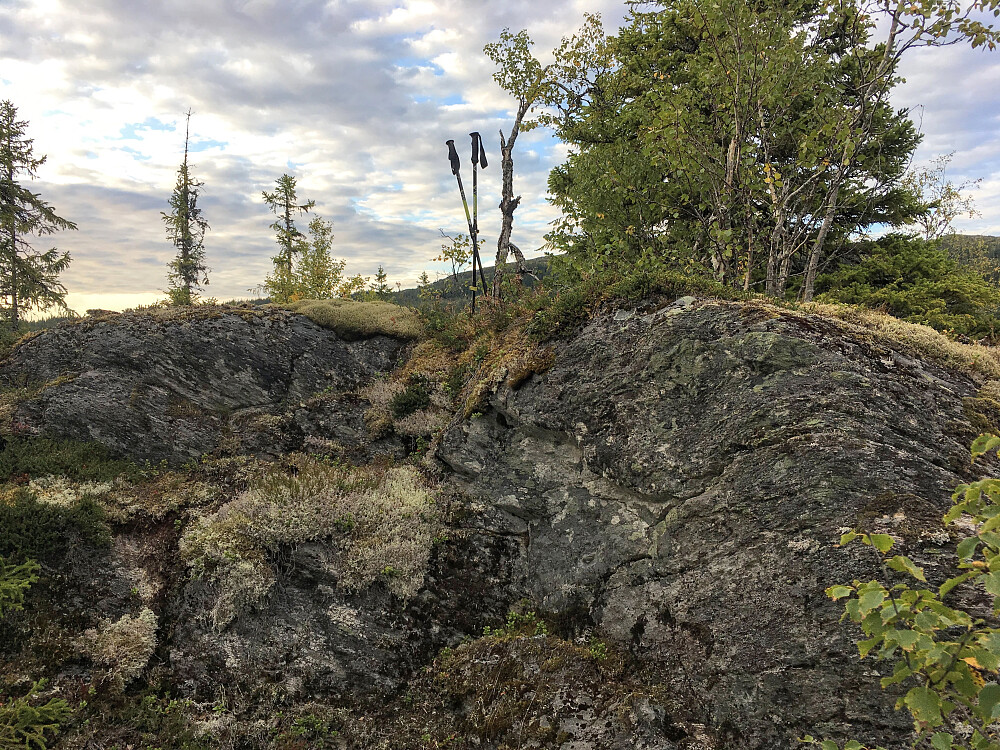 Toppen av Brennfjella består av ja nettopp, fjell.