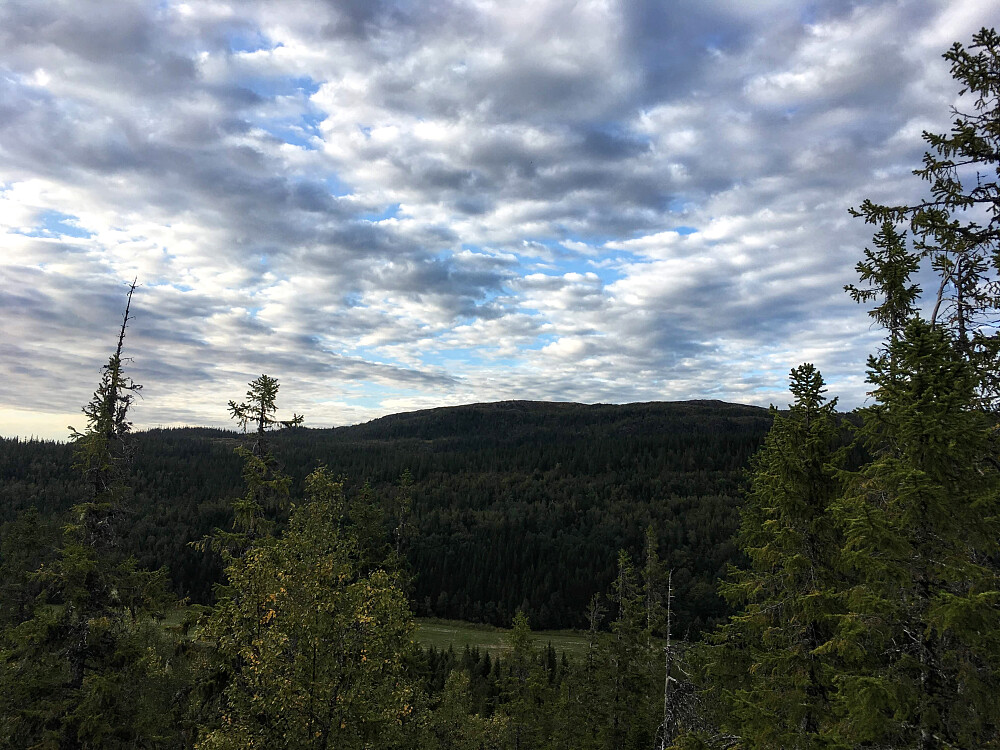 Utsikt mot nord og Hårfjellet.