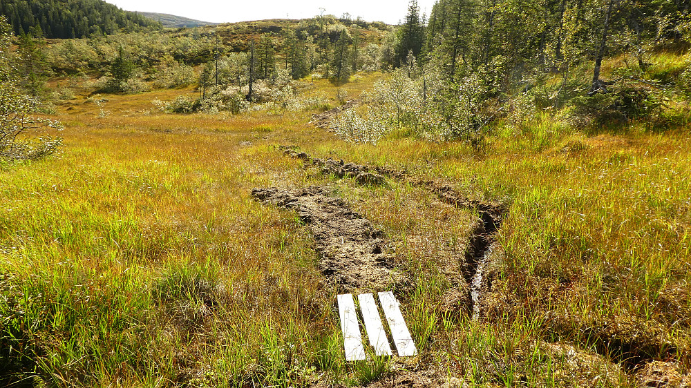 Her er noen ildsjeler i full gang med å ordne på stien.