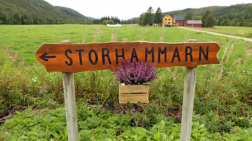 Her kan du ikke ta feil.Nye høstblomster er på plass også.