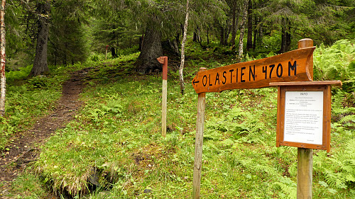 Bratteste dele er på slutten av turen hvis du velger Olastien.