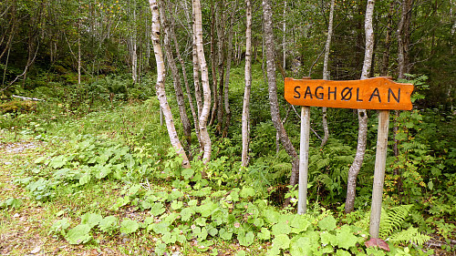 Tok en avstikker opp til Saghølan på tur ned.