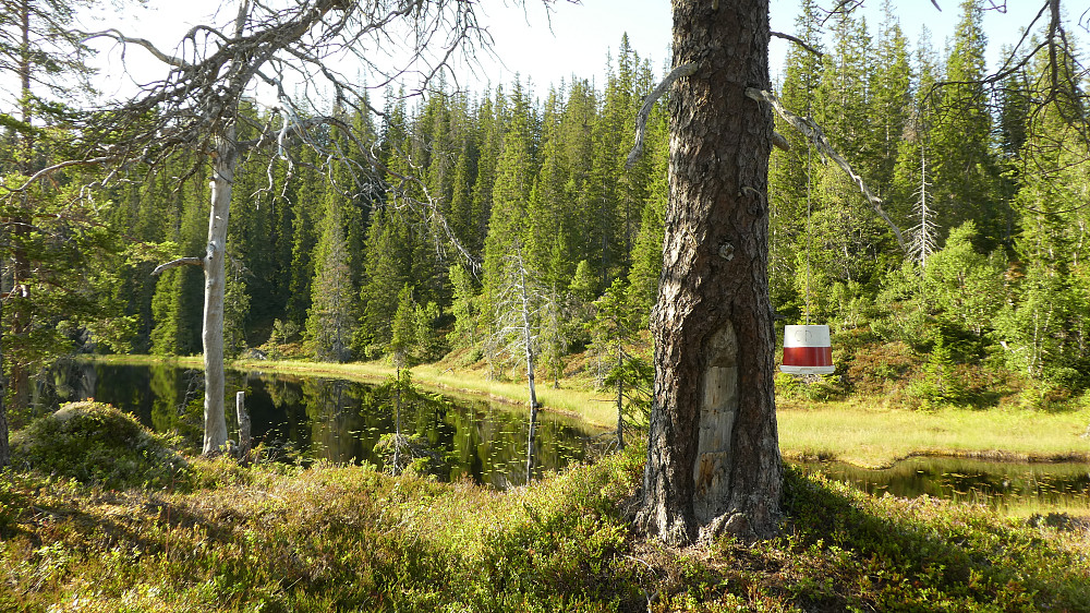 Denne posten ligger ved den idylliske Bergtjønna.