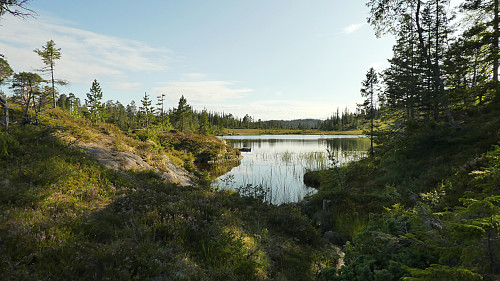 En tur innom Okstjønna også.