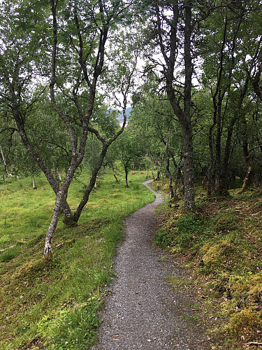 Flott sti i en grønn oasen.