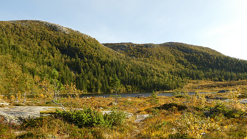 Fine høstfarger ved Langvasstjønna hvor dagens turer starter fra.